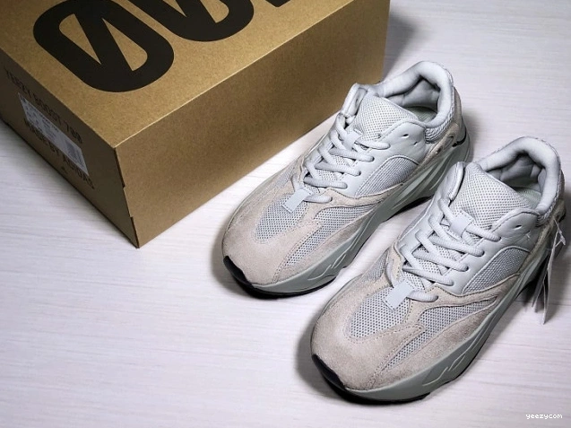 EG7487 Yeezy v2 Adidas 700 Boost Salt 1001